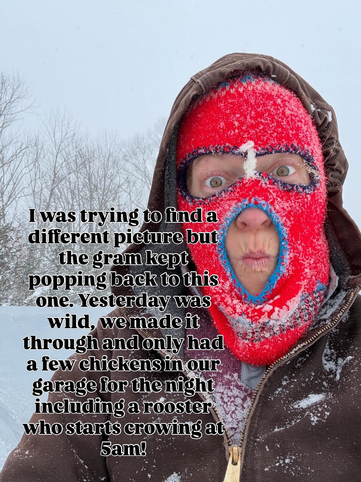 I do not know why we have this ridiculous knitted balaclava but it saved me yesterday. I took this picture during round 2 of snow moving to send jokingly to my whatsapp group of mammas - I was feeling a bit deranged and was telling myself that I had 