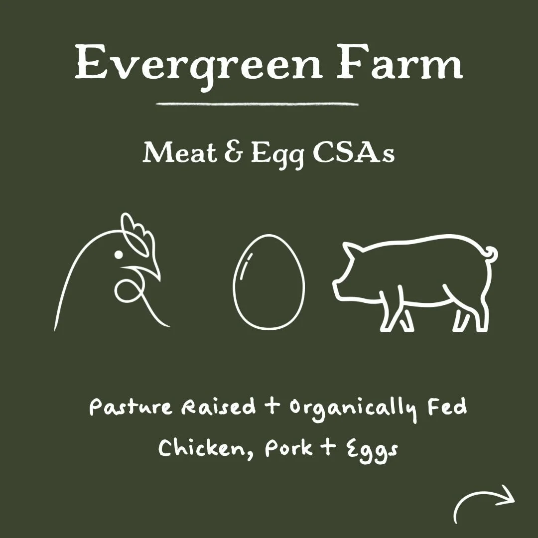 Our 2026 Meat &amp; Egg CSAs are open for sign up!

If you want a tangible way to be part of your local food system and invest in farming practices that care deeply for the animals we raise and the land that we steward then check out our Meat &amp; E