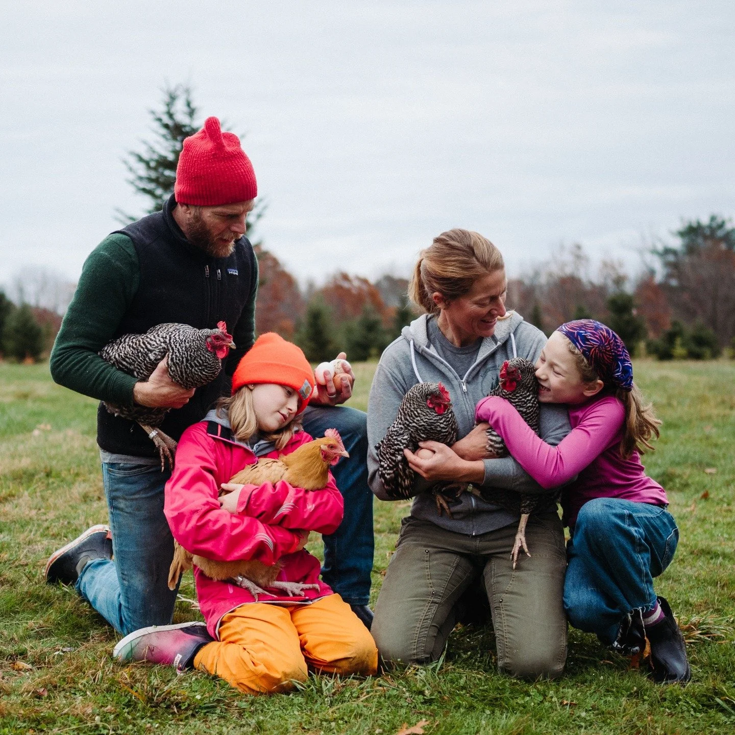 Running a farm with kids has taught us about how far the heart and love can stretch. As our flock has grown there are fewer individual names but the tenderness does not go away. The golden hen Layla is holding has been with us for 5 years, her name i