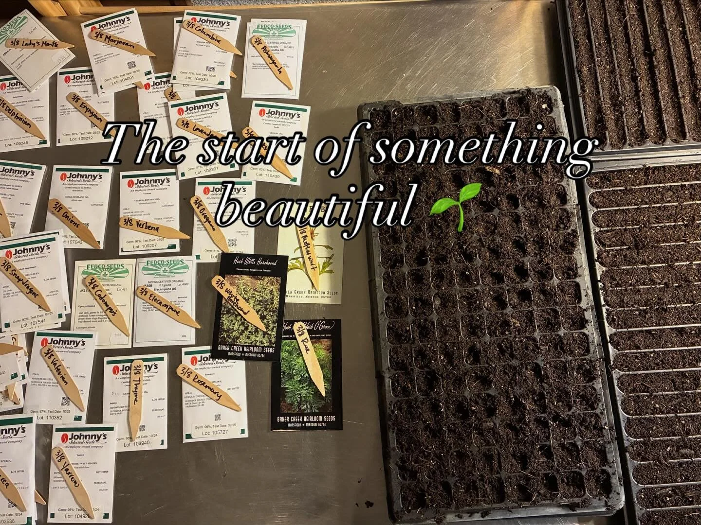 It&rsquo;s just the beginning getting the first seeds into soil, pouring hope, fear, and love into each little seed. This never gets old for me no matter how old I get and I always feel overwhelmed by the possibilities. Hope the sun gave you some hop