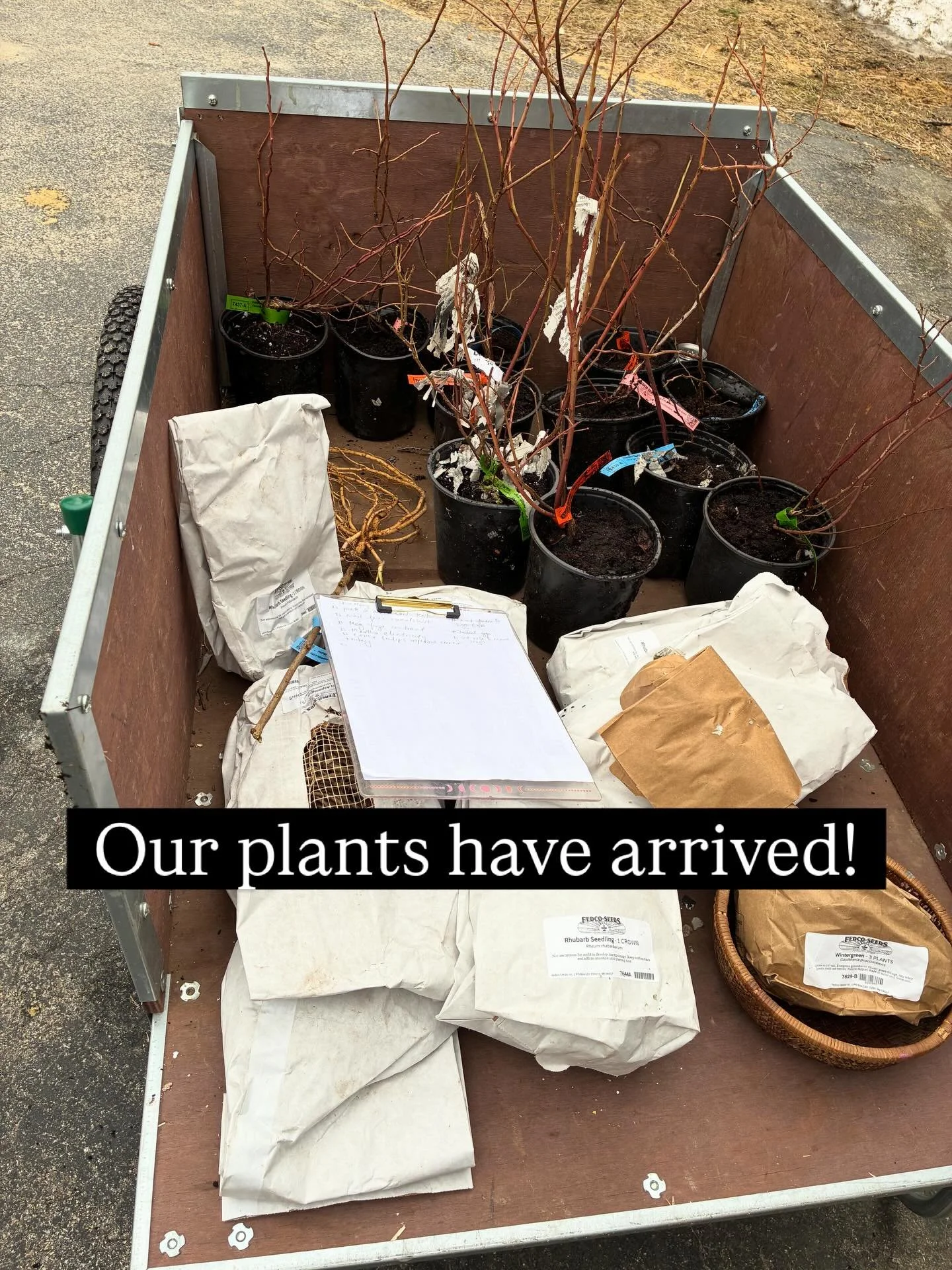 Thursday at the end of the day two beautiful boxes from @fedcoseeds arrived. As usual I was completely unprepared, Derek was away for work, and the kids weren&rsquo;t really into helping. I got what I could in and then last night we put in the rest. 