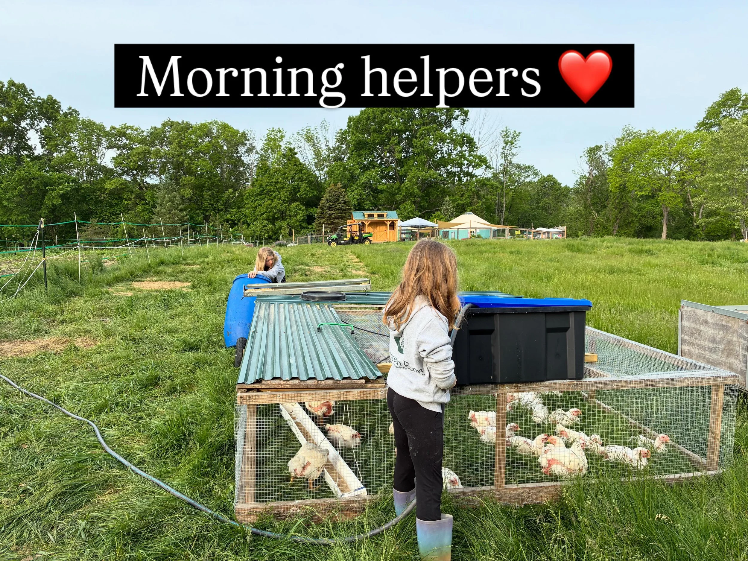 These two woke up early so they could help me with chores this morning because Derek is out of town for work and it just made this morning so beautiful. Hard work makes us cooperate and being around animals helps us slow down and watch and listen. Th