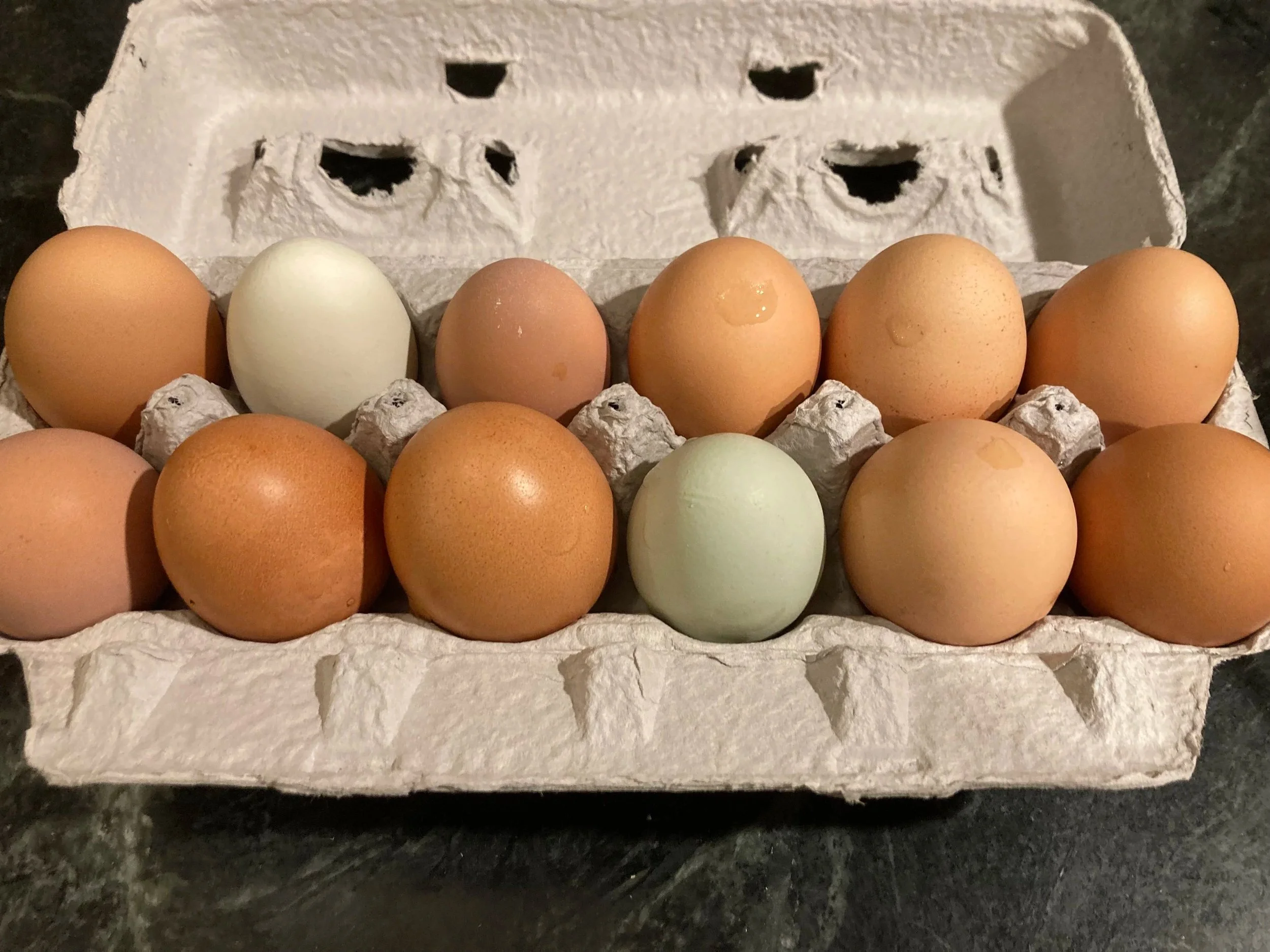 Spring Egg CSA