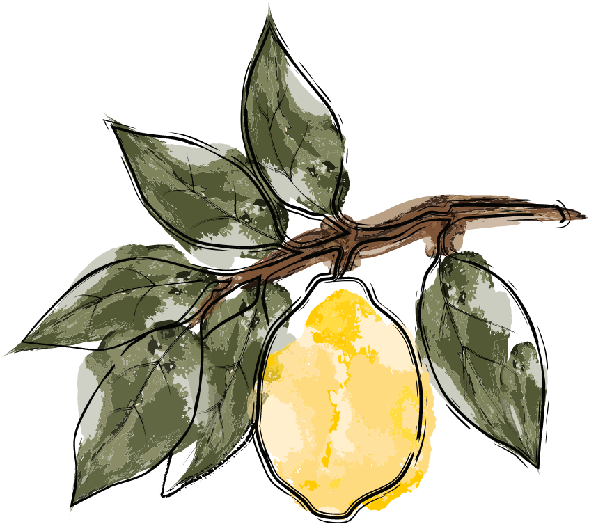 Illustration en aquarelle d'un citron pour les étiquettes de la limonade de chez Peppone