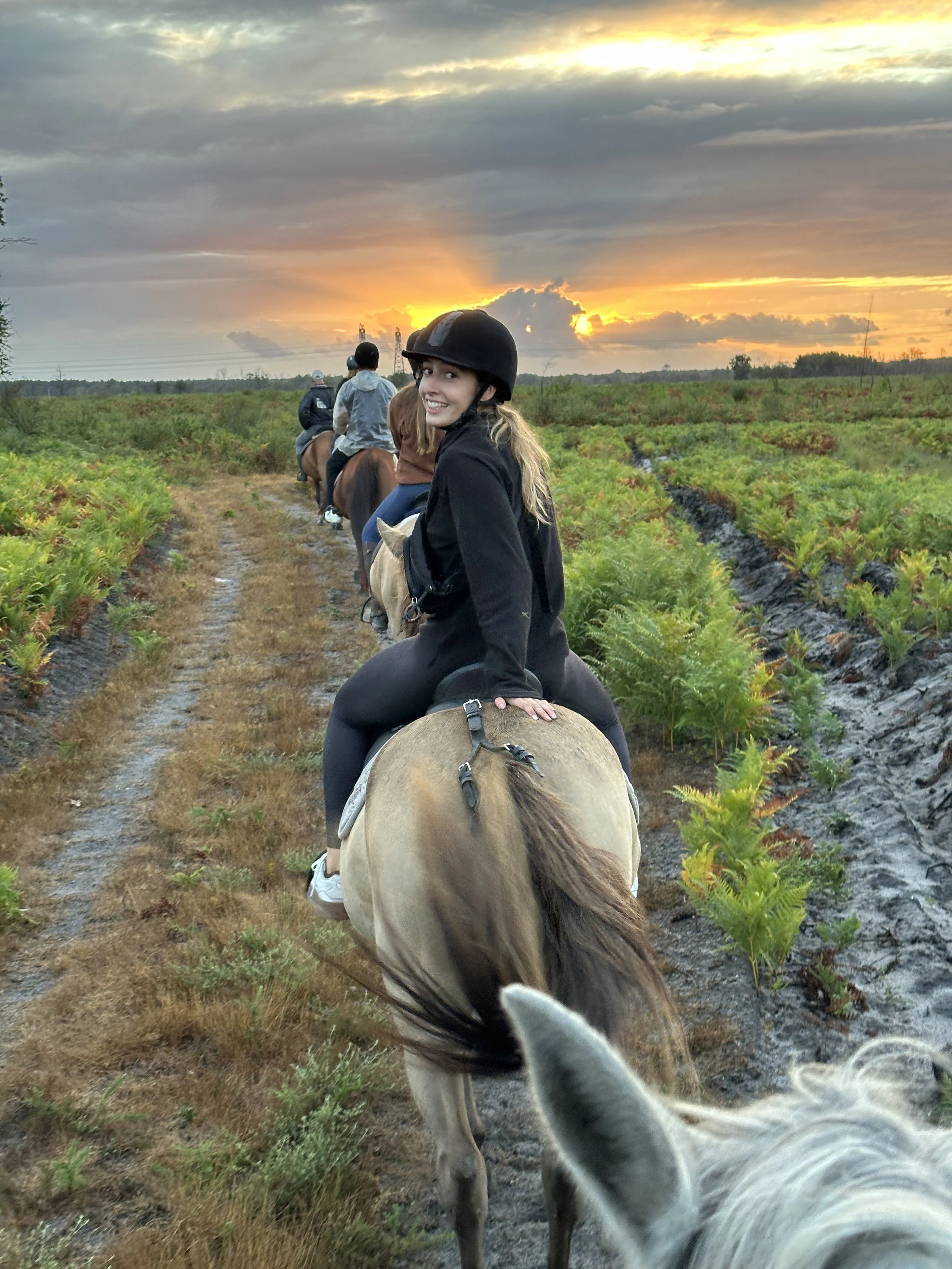 Cheval fille equitation