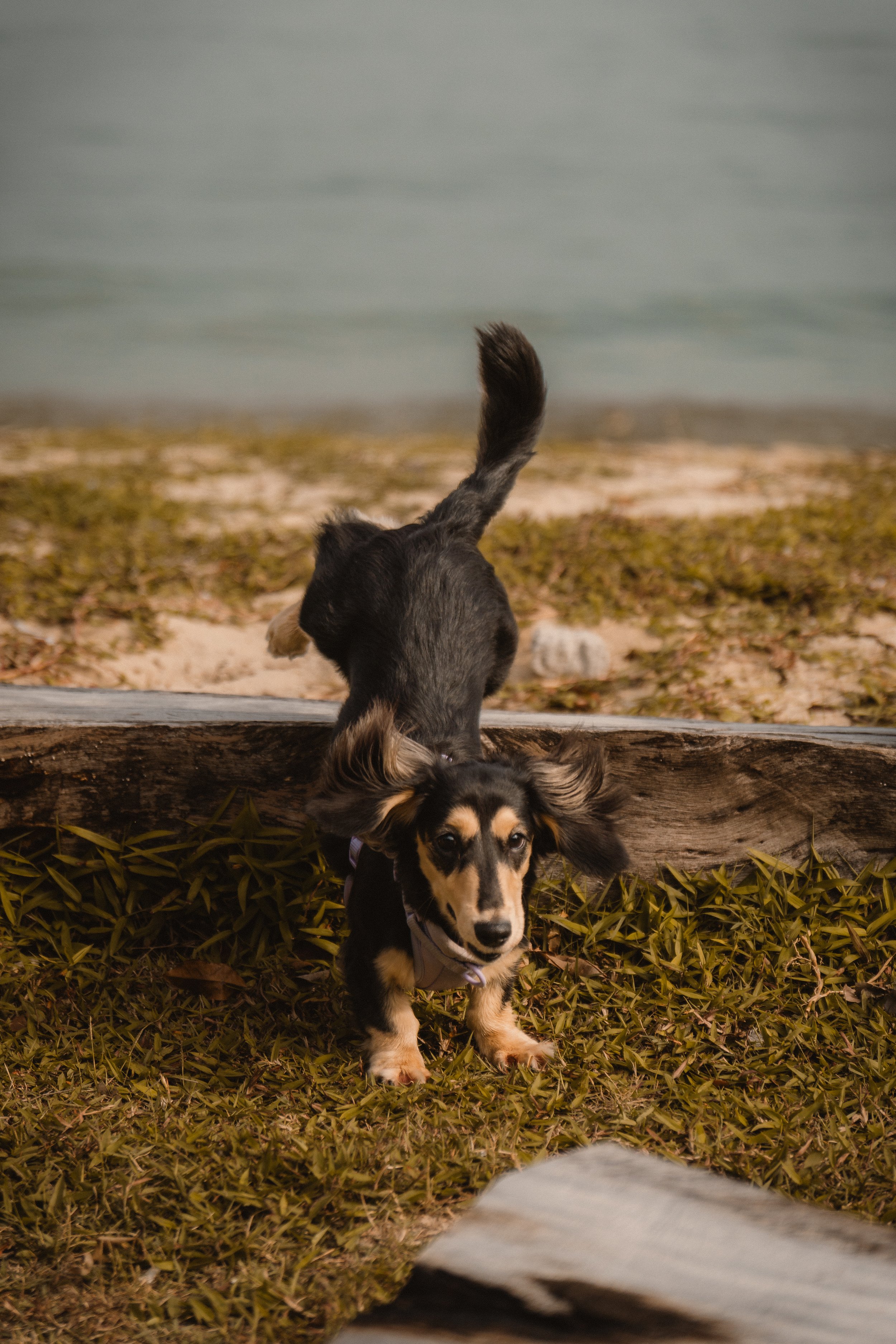 Millie (Complimentary)-9.jpg