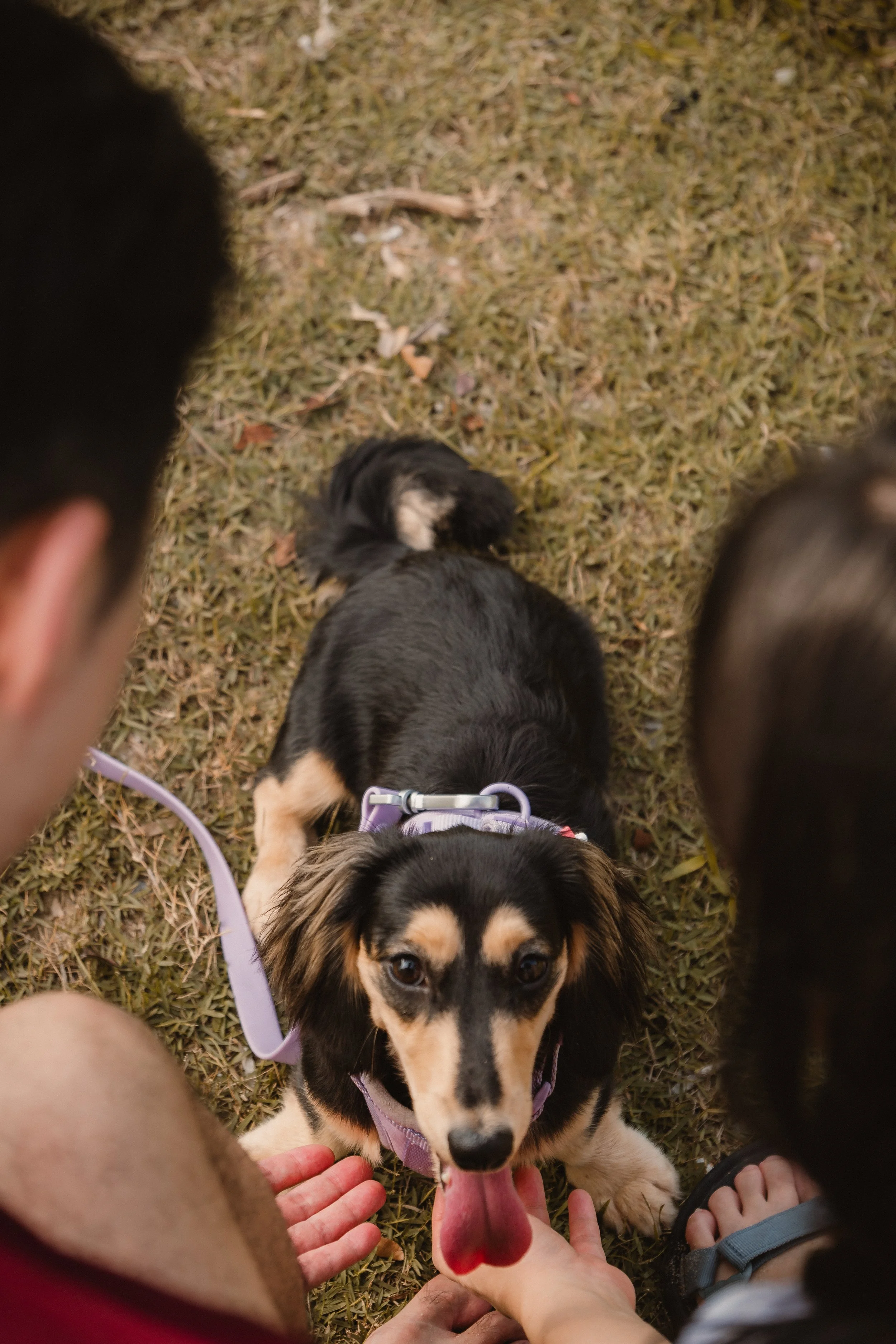 Millie_Final-30.jpg