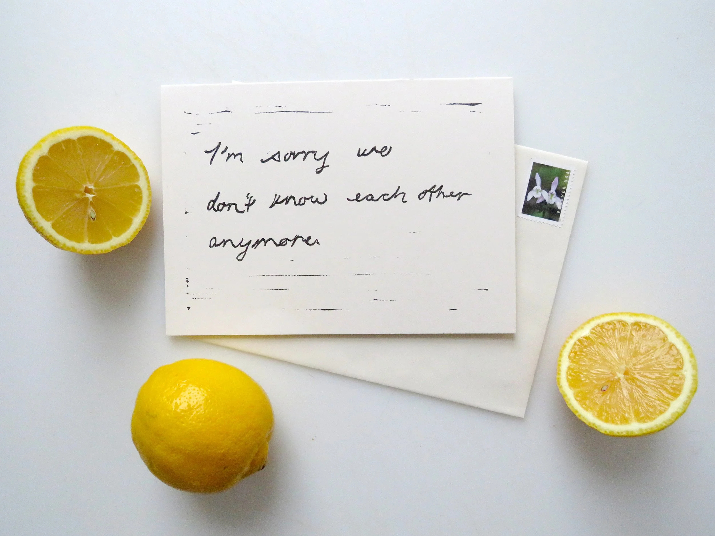 2020_imsorrywedontknoweachother_lemons.jpg