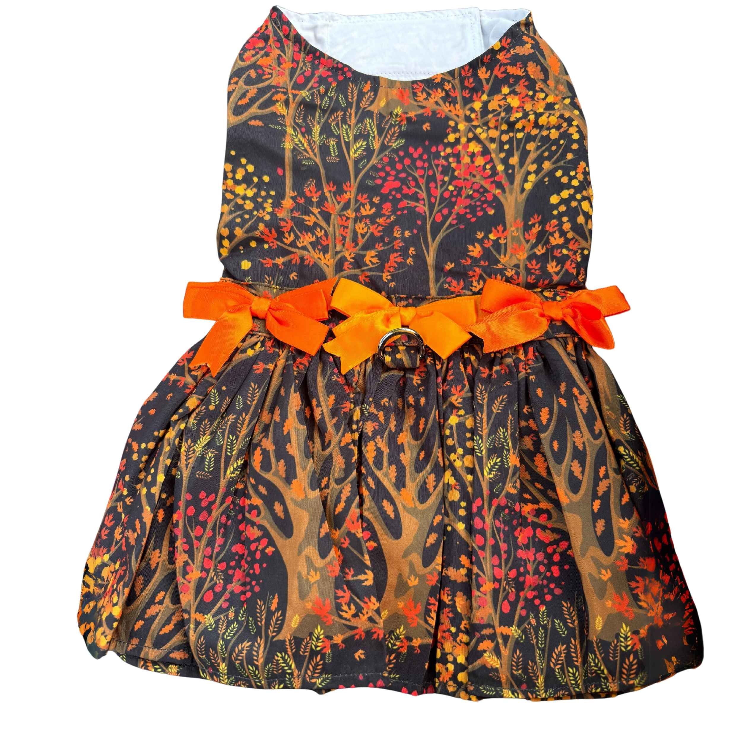 dog_harness_dress_outfit_with_fall_leaves_and_matching_leash