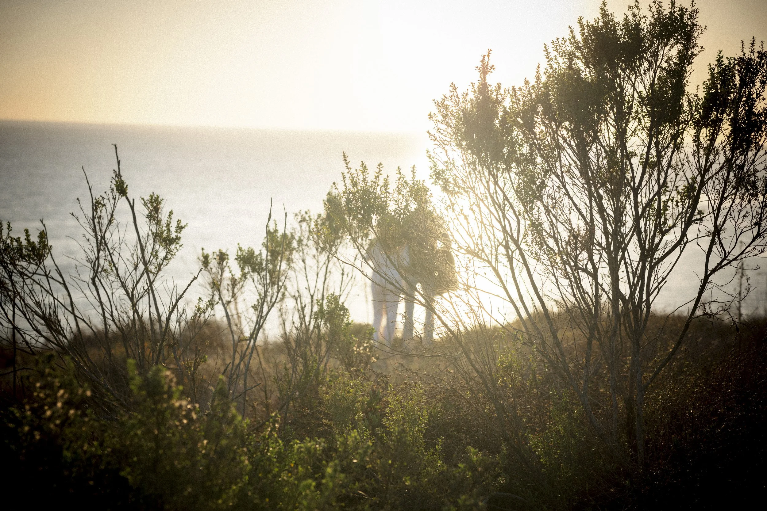 Distant couple walking through golden light on the Santa Barbara bluffs.