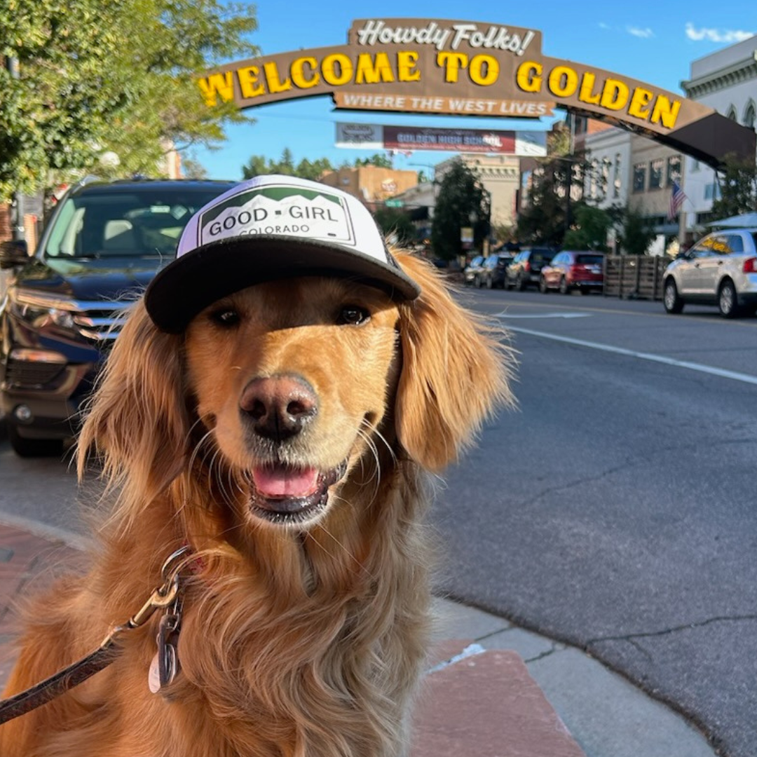 Good Girl Colorado Trucker Dog Hat