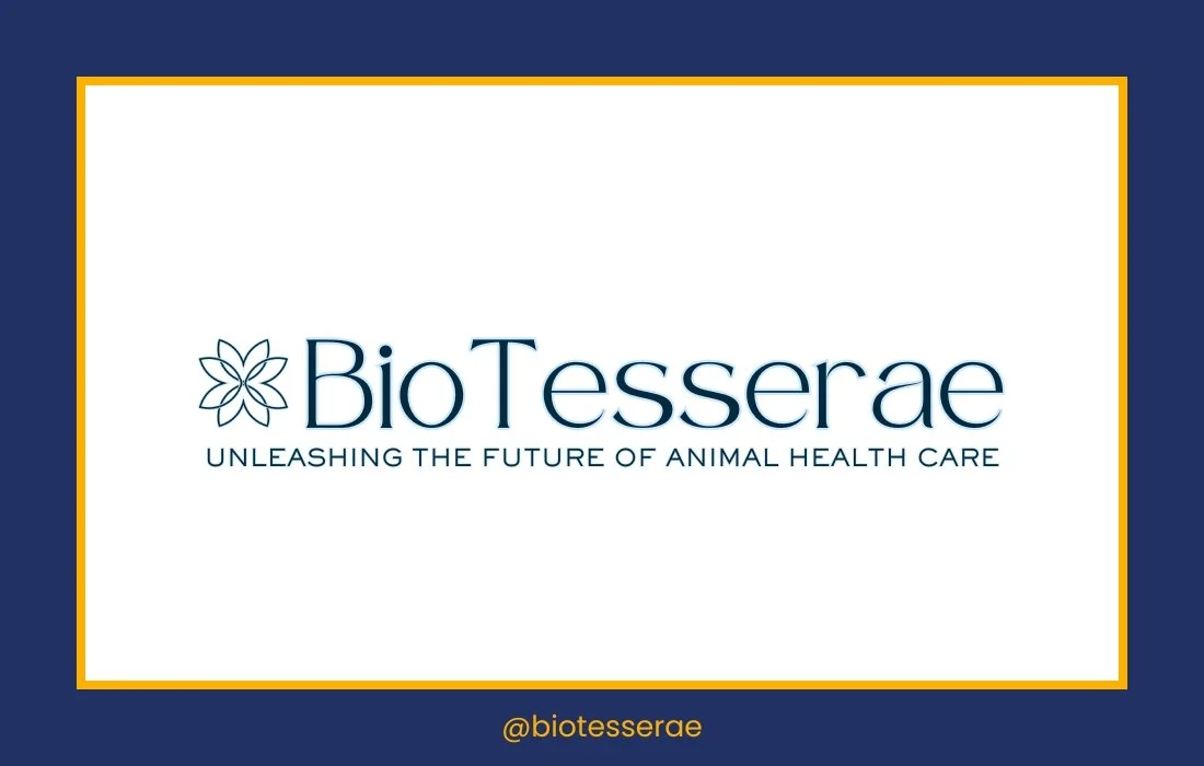 DOGTOPIA - Goldens in Golden (7).jpg