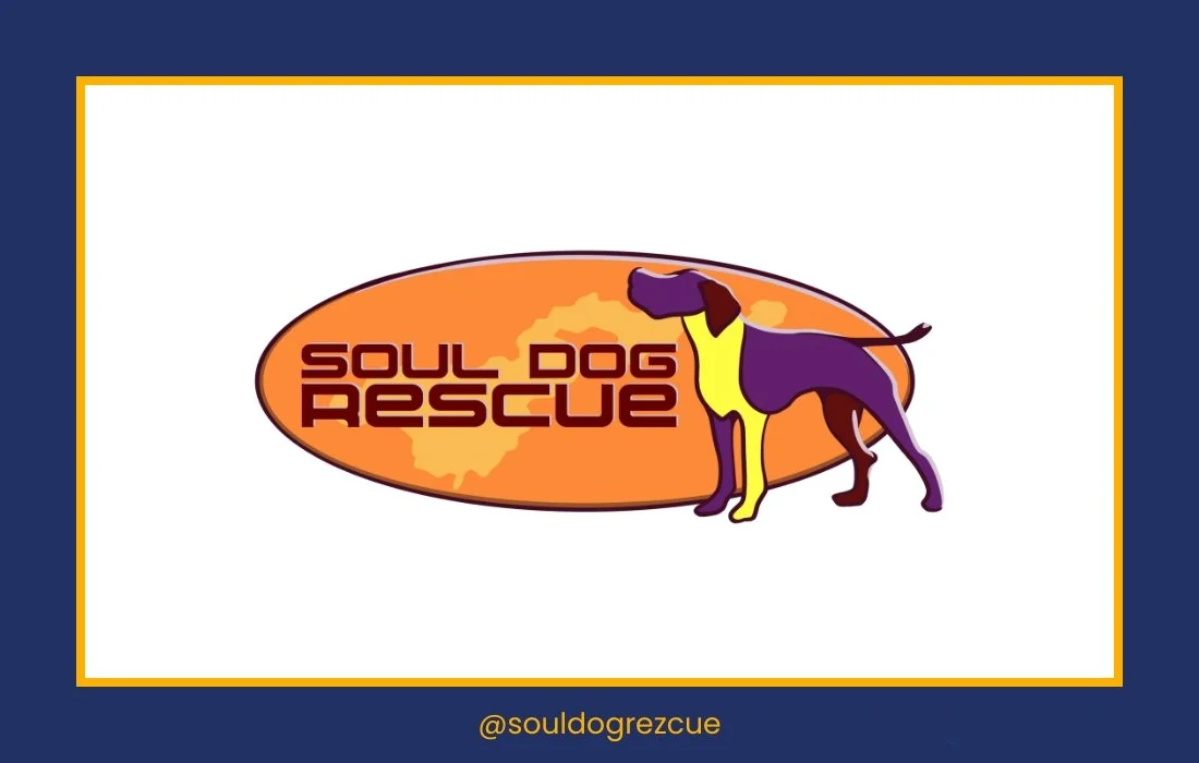 DOGTOPIA - Goldens in Golden (6).jpg