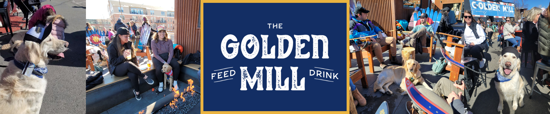 Golden Mill Goldens in Golden