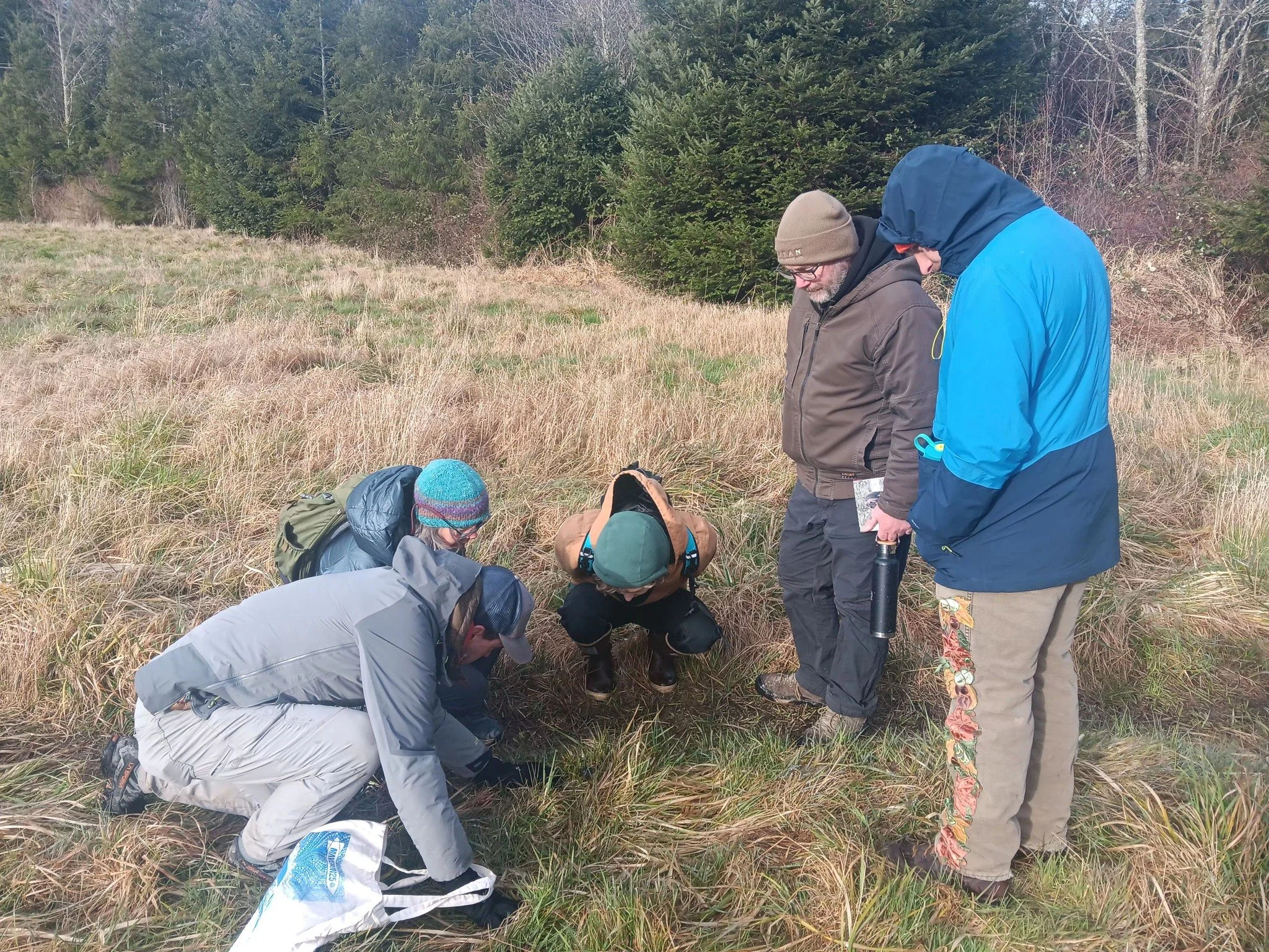 Tracking Club - Dosewallips River 