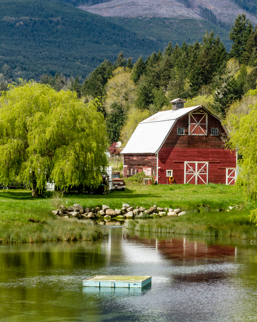 Untitled design (45).png