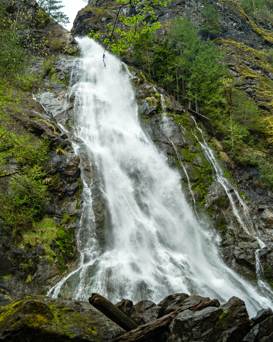 Untitled design (43).png