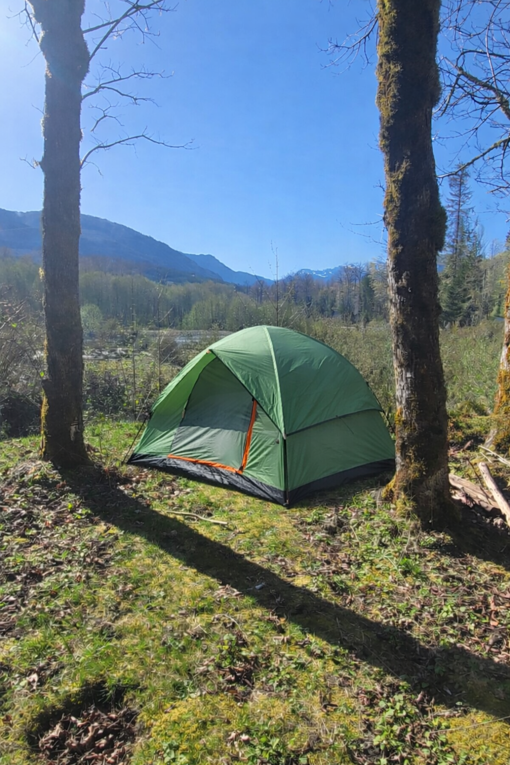 Nesting Mama & Little(s) ( Bring your own Nest)