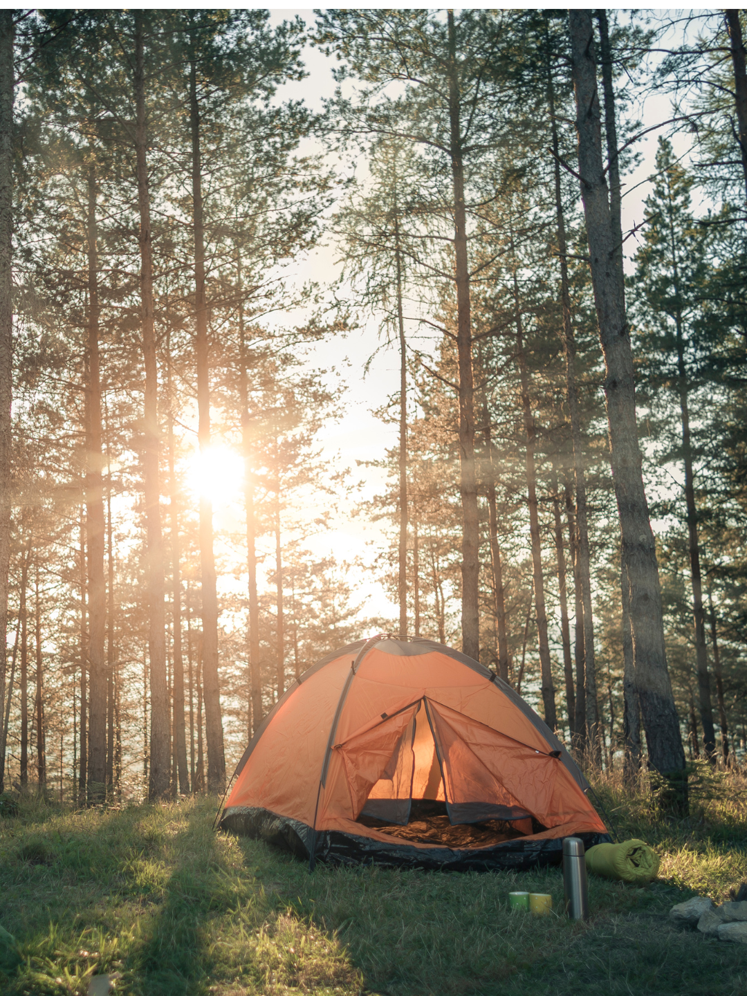 Nesting Mama & Little(s) ( Bring your own Nest)