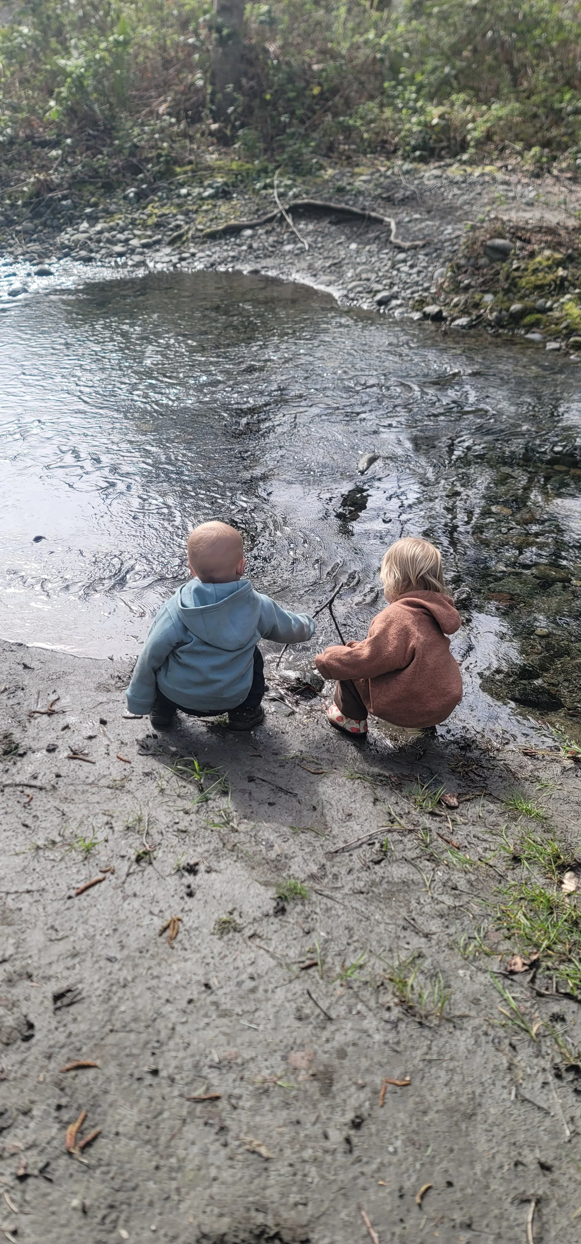 Wild Nest Extra Child Ticket 3+