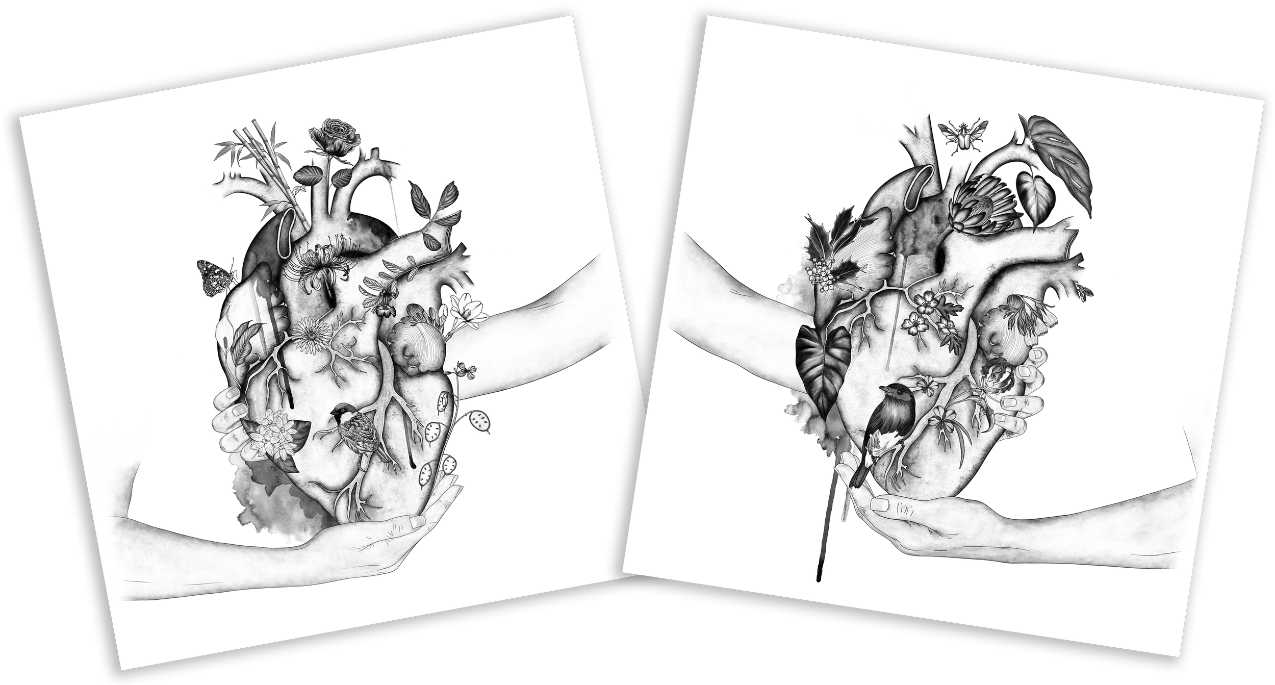 Two black and white illustrations of human hands holding anatomically styled hearts, overlaid with detailed illustrations of various flowers, leaves, birds, a butterfly, a bee, and a moth.