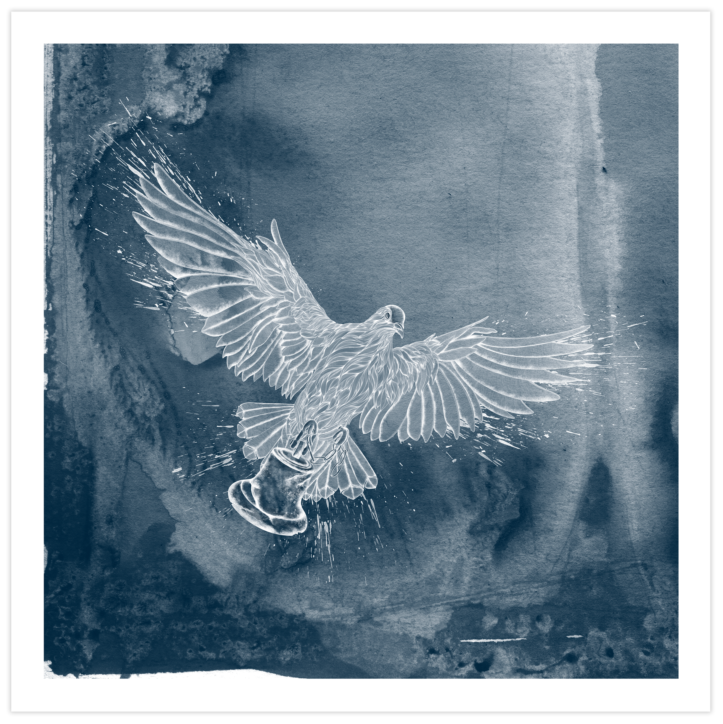 Artwork of a bird with outstretched wings outlined in white on a textured blue background.