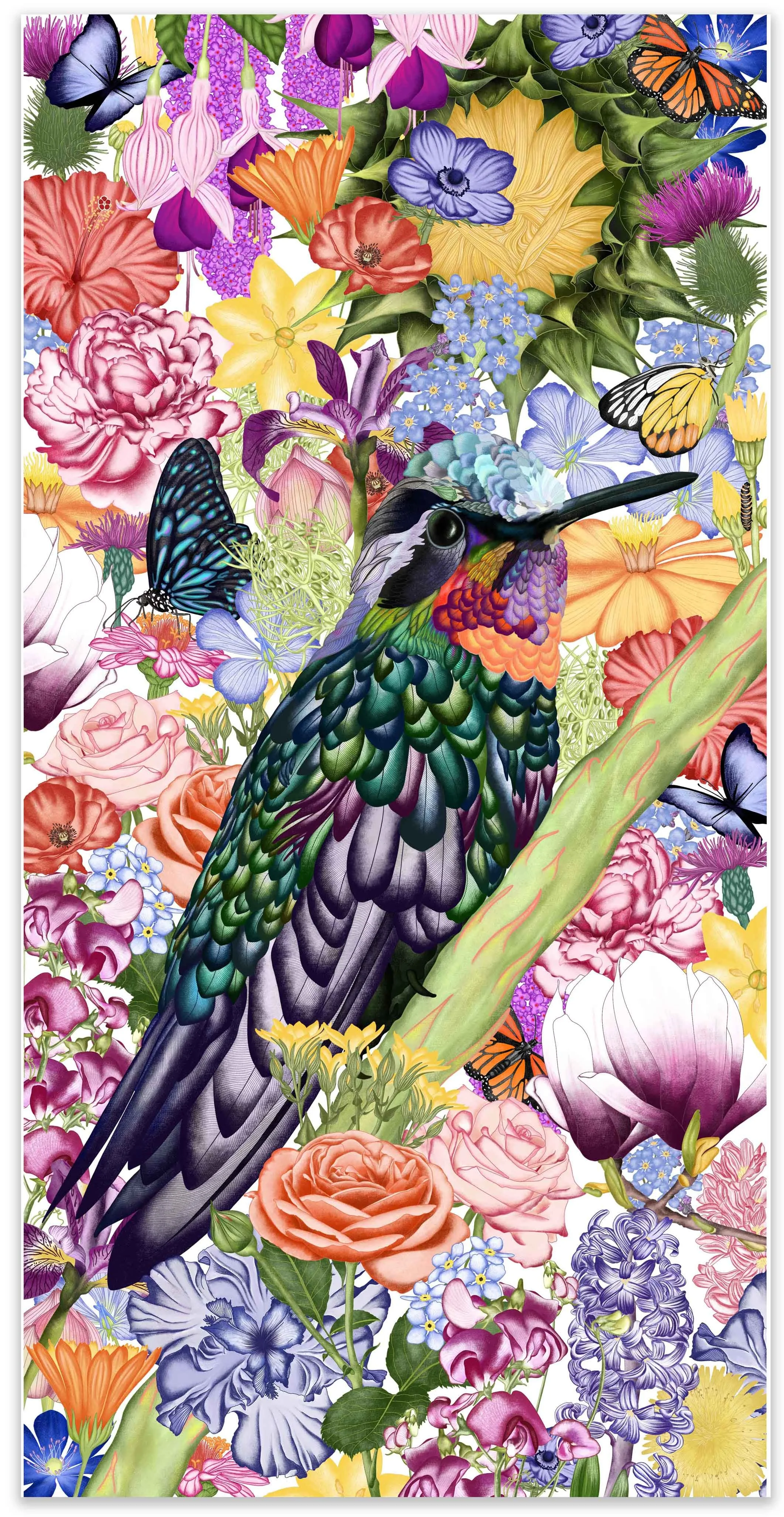 Colorful illustration of a hummingbird perched on a branch surrounded by various blooming flowers and butterflies.