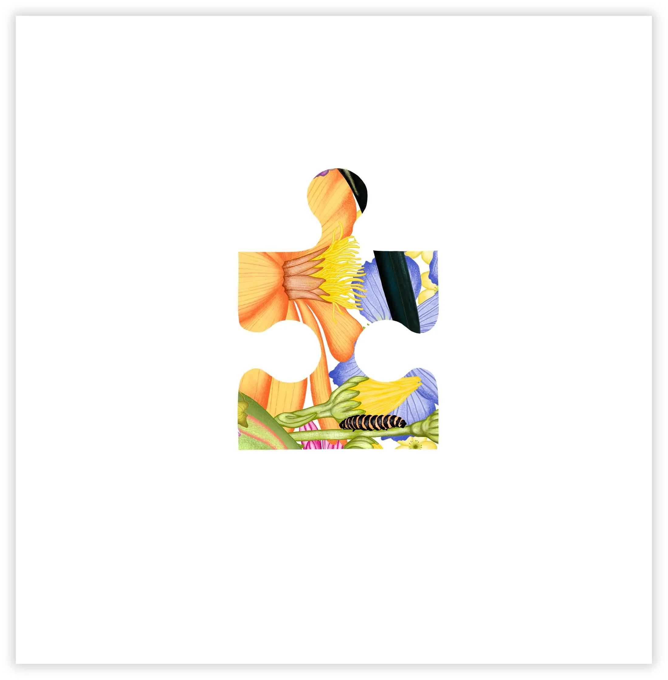 Colorful illustration of a human figure with detailed depiction of muscles, bones, and internal organs, with flowers and plants surrounding the figure.