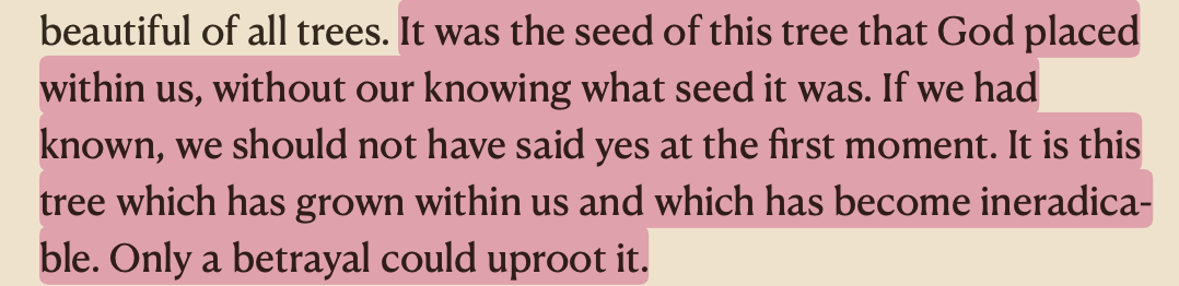 Screenshot 2025-09-23 at 10.34.31 PM.png