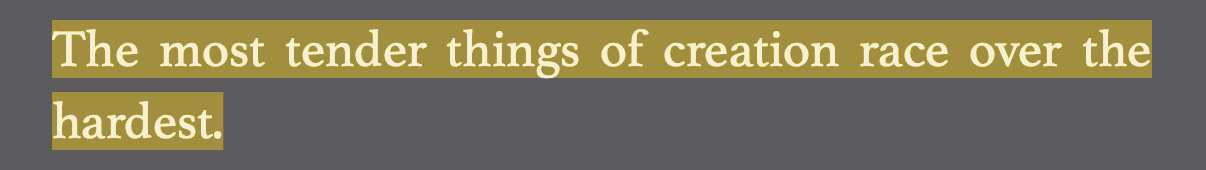 Screen Shot 2025-08-21 at 10.20.21 PM.png