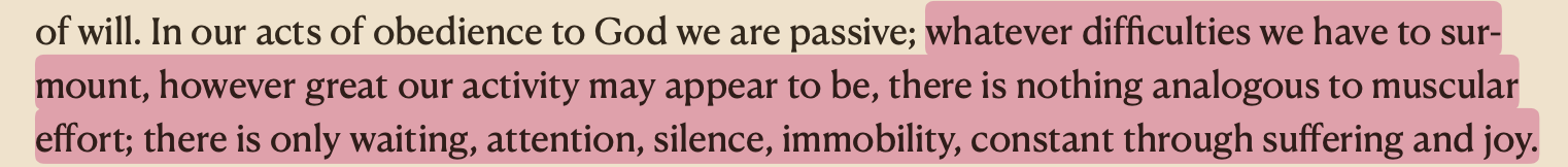 Screenshot 2025-10-26 at 8.24.47 PM.png
