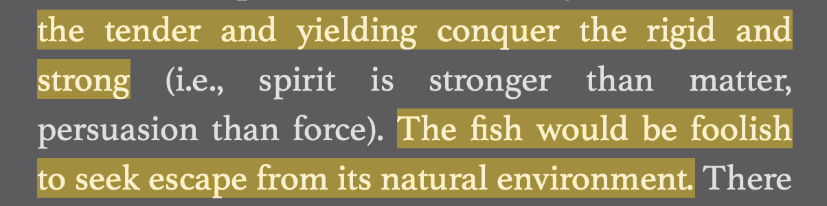 Screen Shot 2025-08-17 at 5.39.15 PM.png