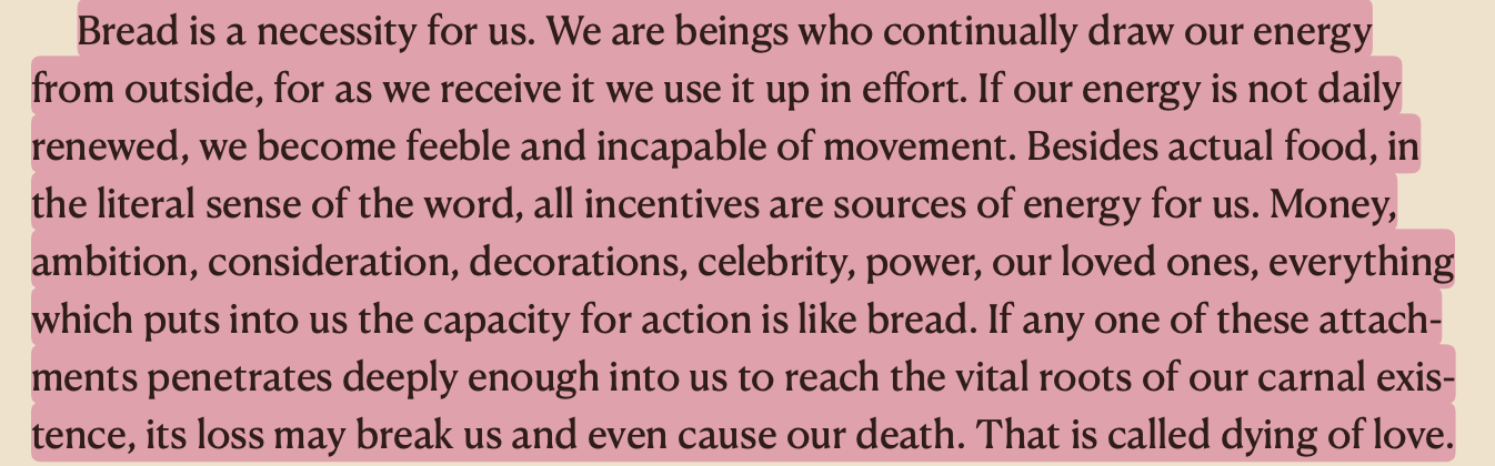 Screenshot 2025-11-15 at 8.16.39 PM.png