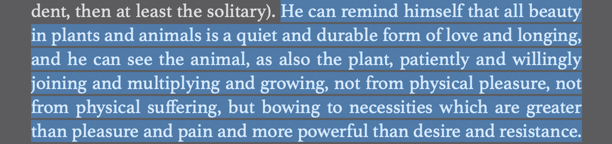 Screen Shot 2025-08-11 at 10.18.27 PM.png