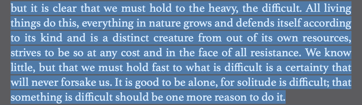 Screen Shot 2025-08-13 at 4.17.34 PM.png