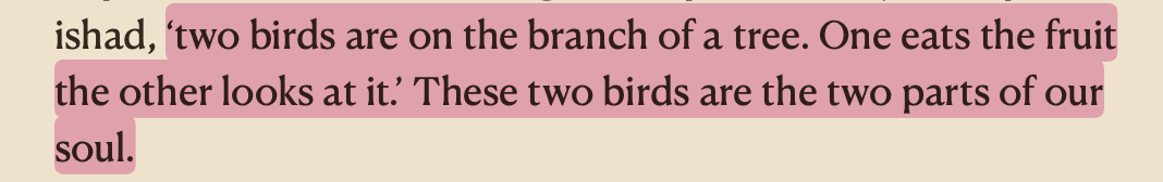 Screenshot 2025-10-03 at 11.28.43 PM.png