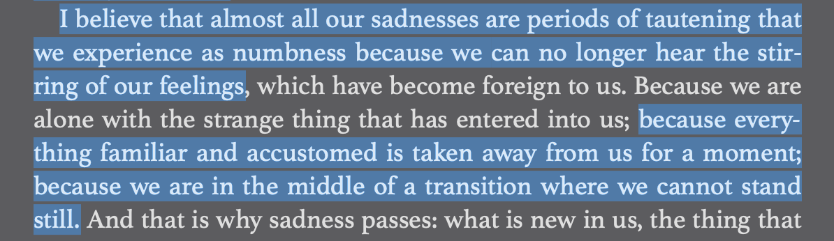 Screen Shot 2025-08-14 at 5.20.27 PM.png