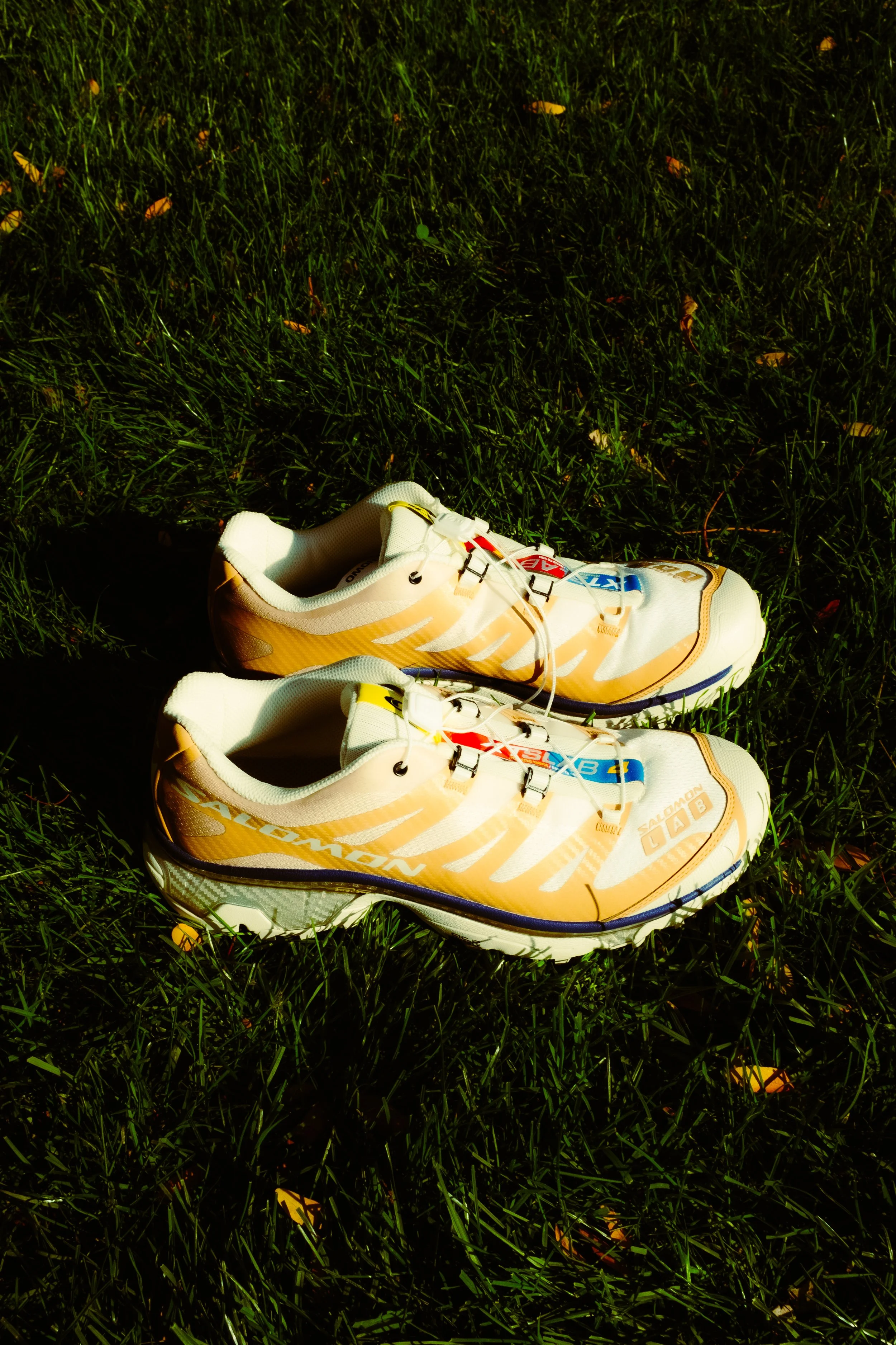 SALOMON-01.jpg