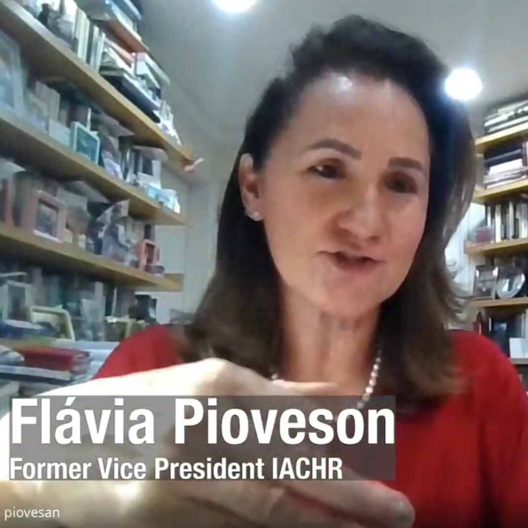 Experts Testify to Pervasive Abuses during US Immigration Protests in Video Presented to IACHR August 4