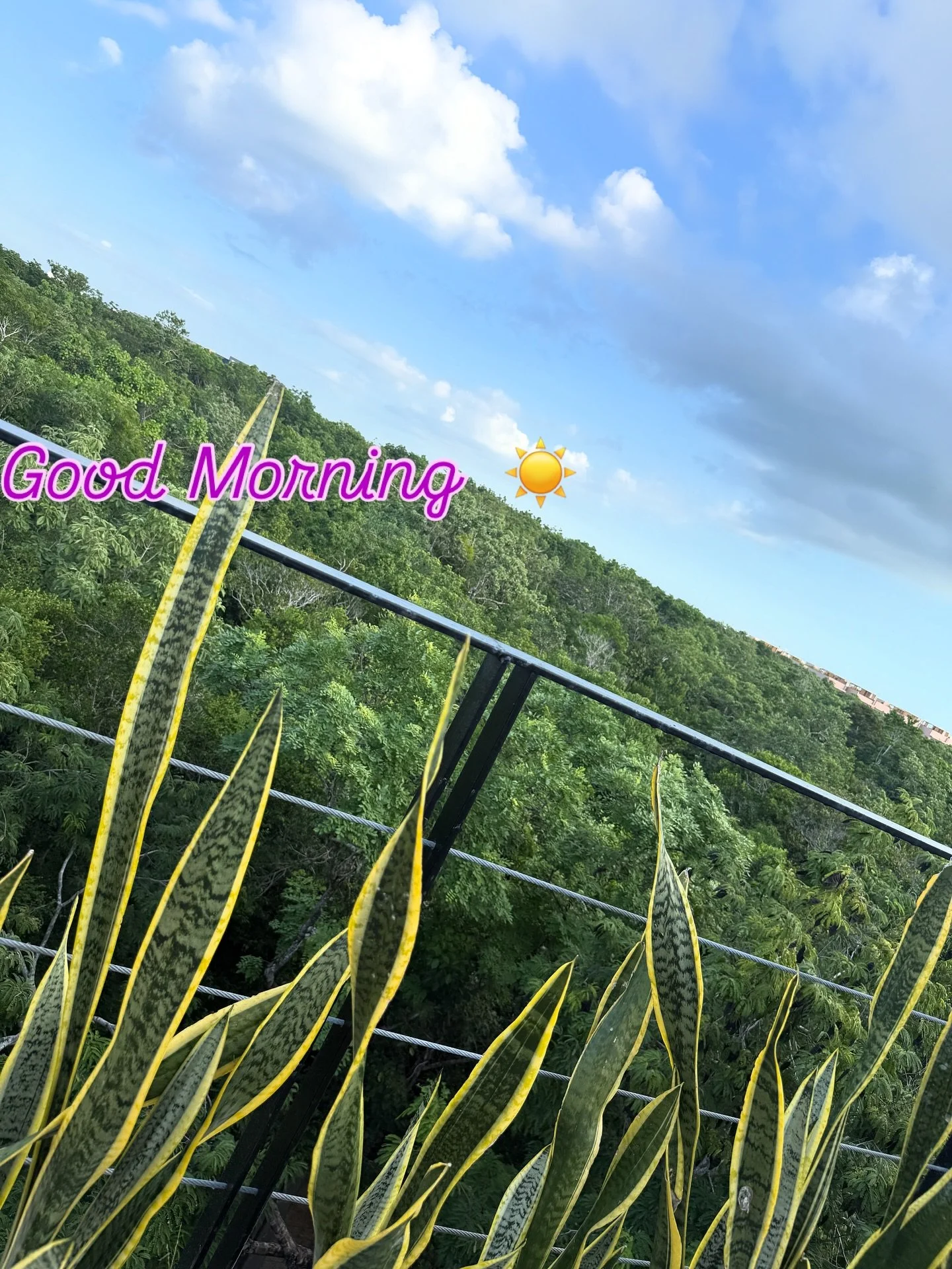 If I didn&rsquo;t have a order on the 1st, I might stay a little longer.