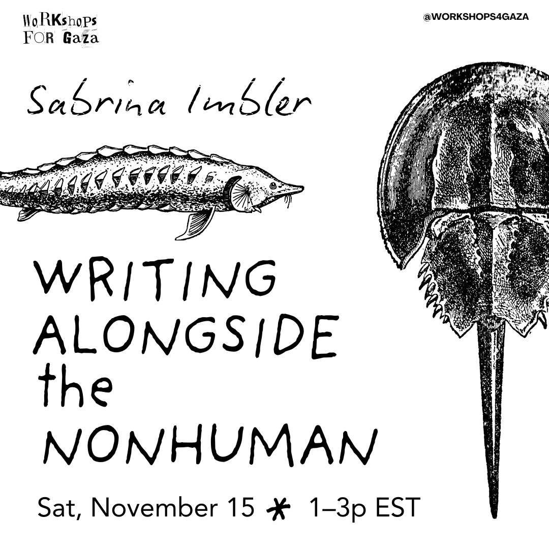Writing Alongside the Nonhuman
