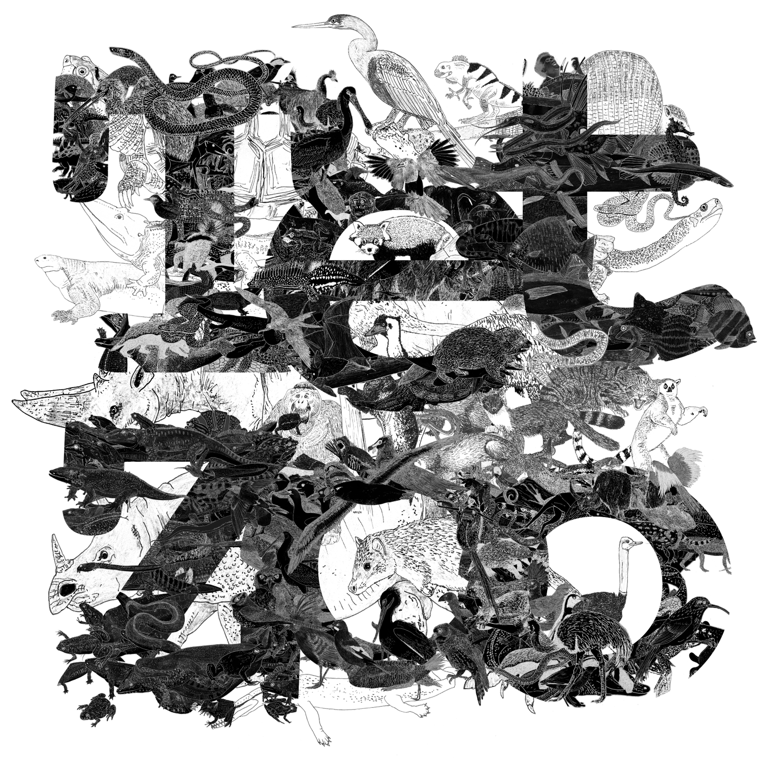 TetZoo