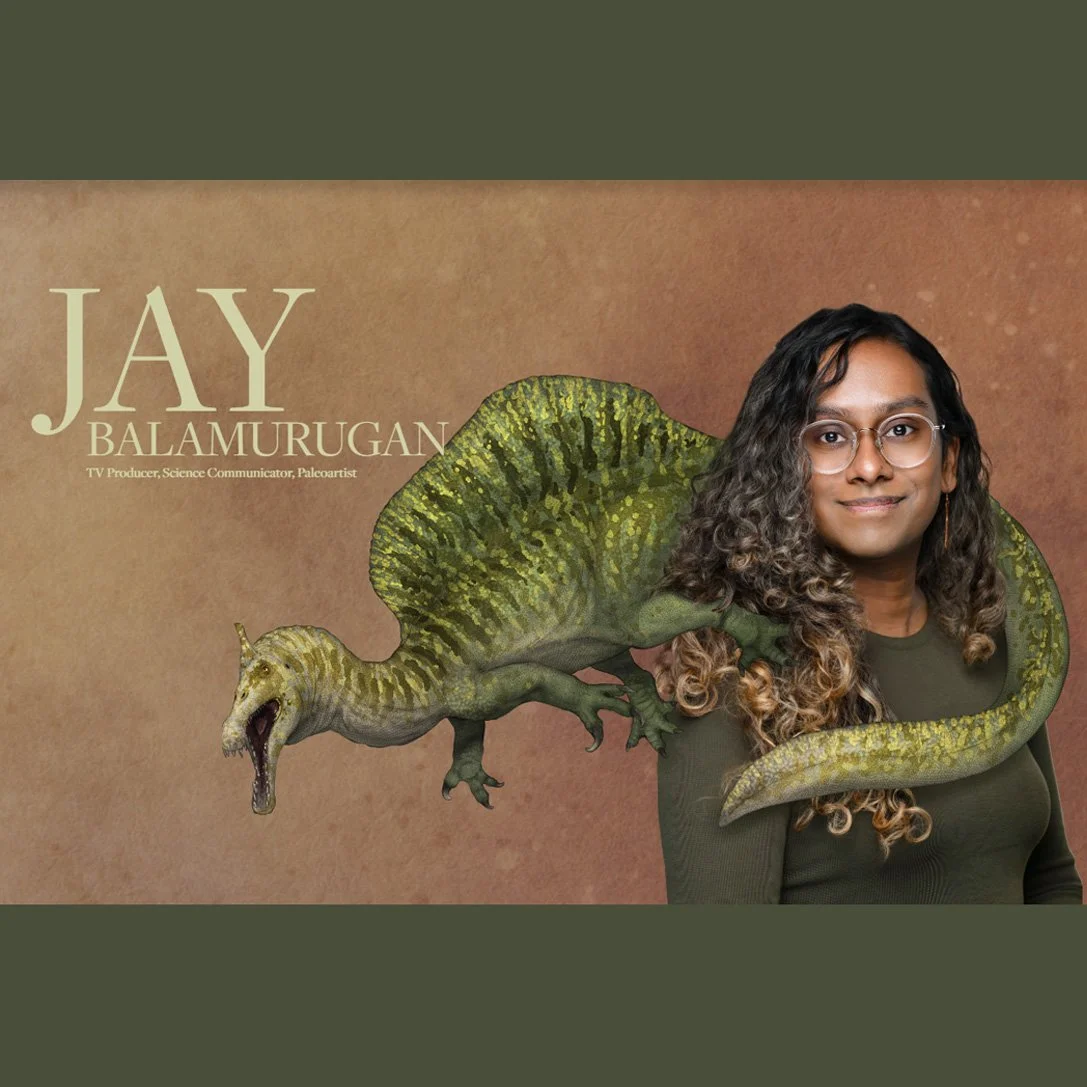KakapoJay Paleoart & AugustJosephCo Plushies