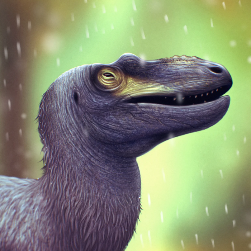 Haider's paleoart