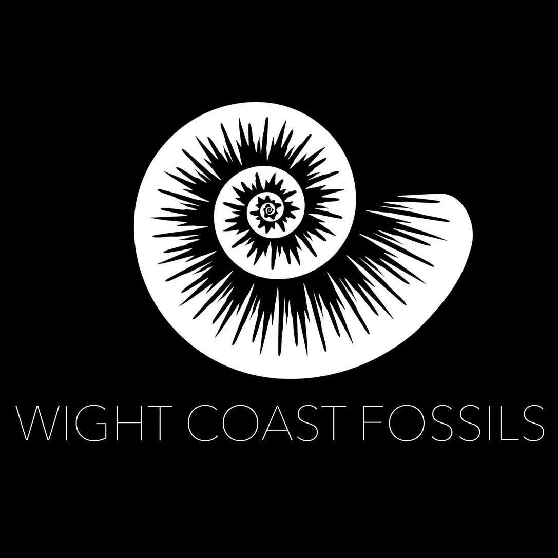 Wight Coast Fossils