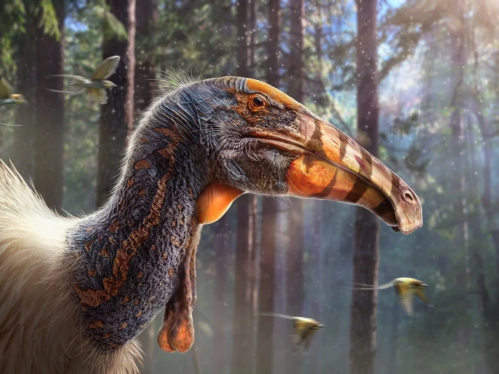 Dragons of Wales