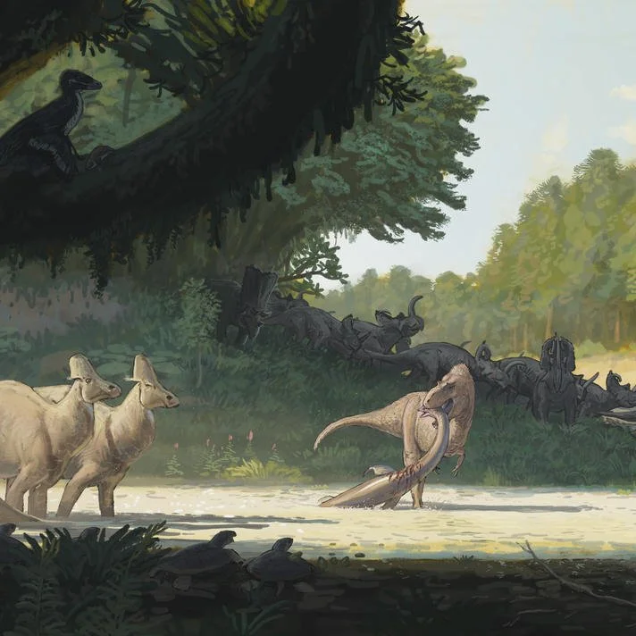 Paleostream / Joschua Knüppe