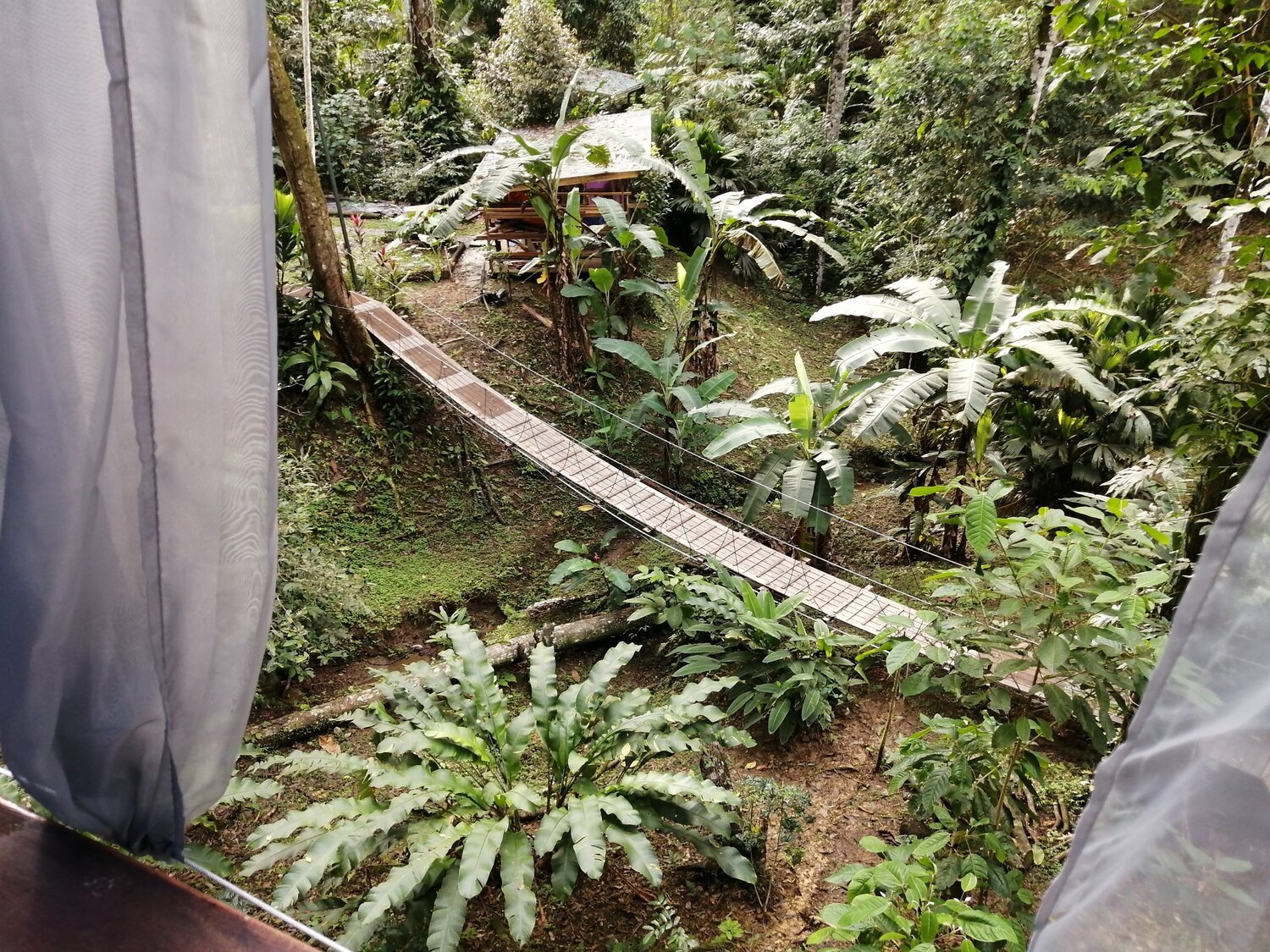 Retreat Tree House Morpho 1.jpeg