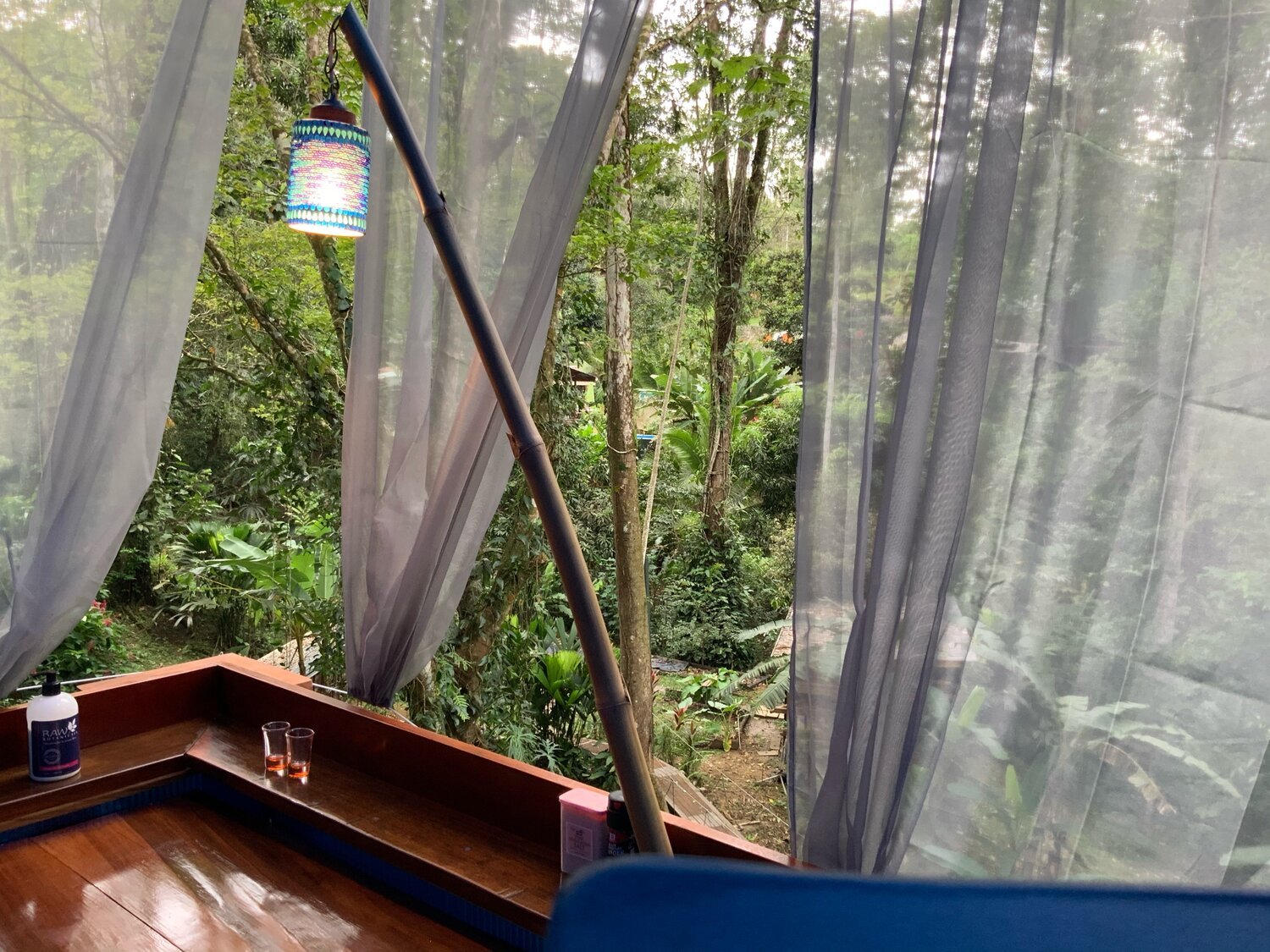 Retreat Tree House Morpho 2.jpeg