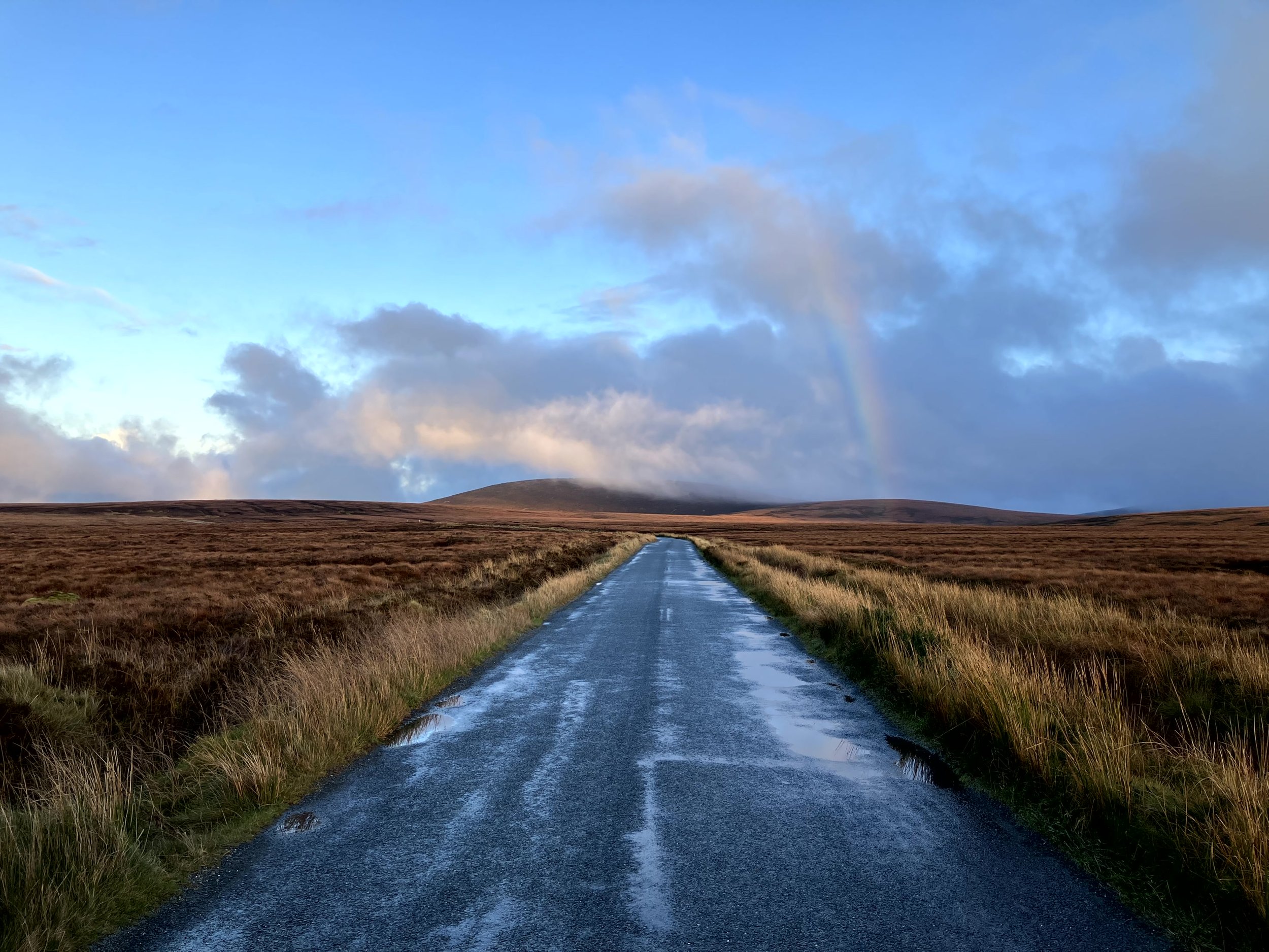 Photography in Design